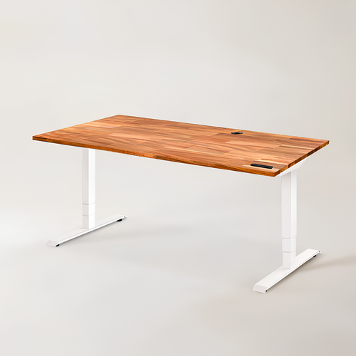 Sedora Omni Smart Desk